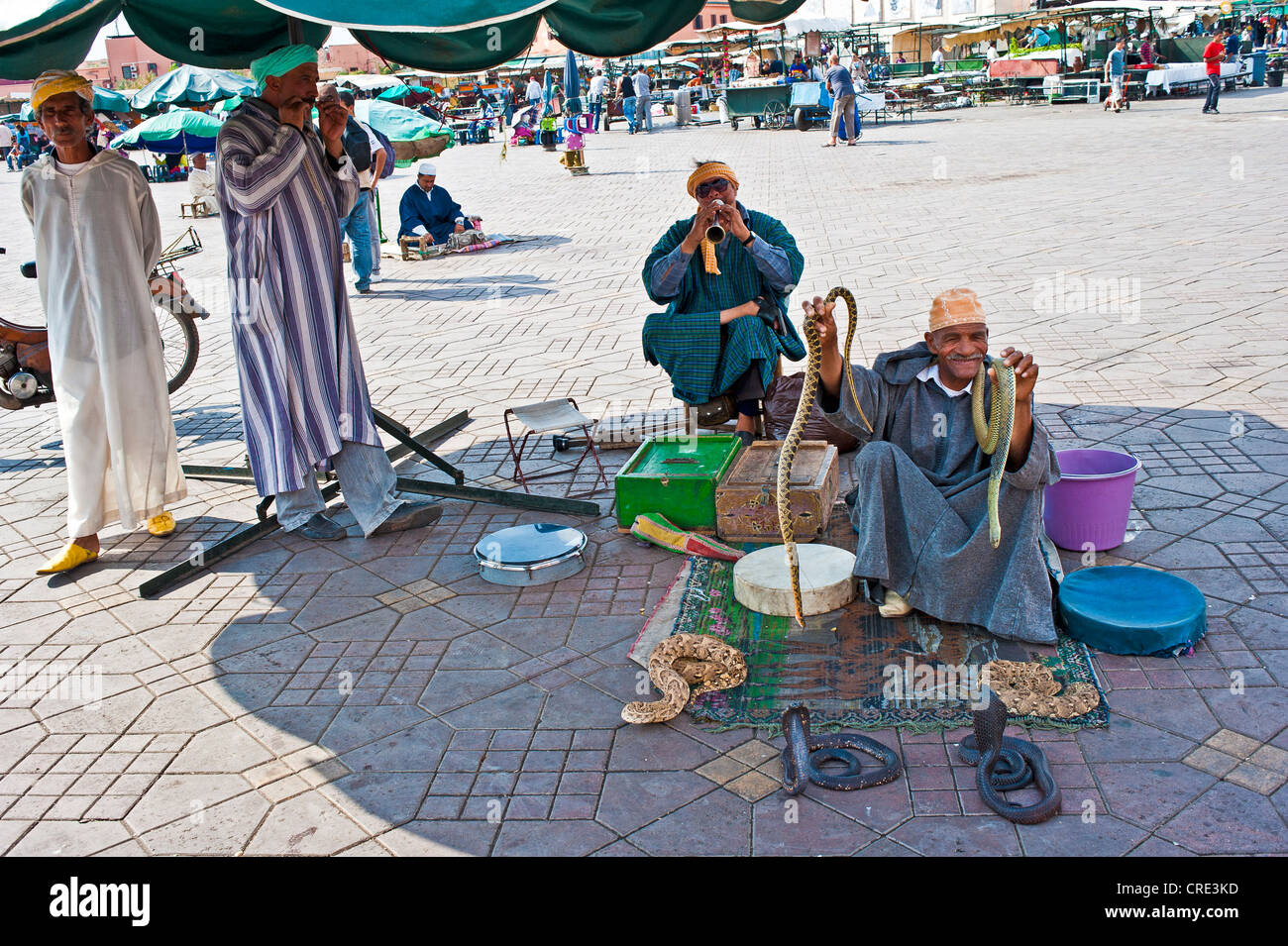 Incantatori di serpenti seduti sulla piazza Jemaa El Fnaa, Marrakech, Marocco, Africa Foto Stock