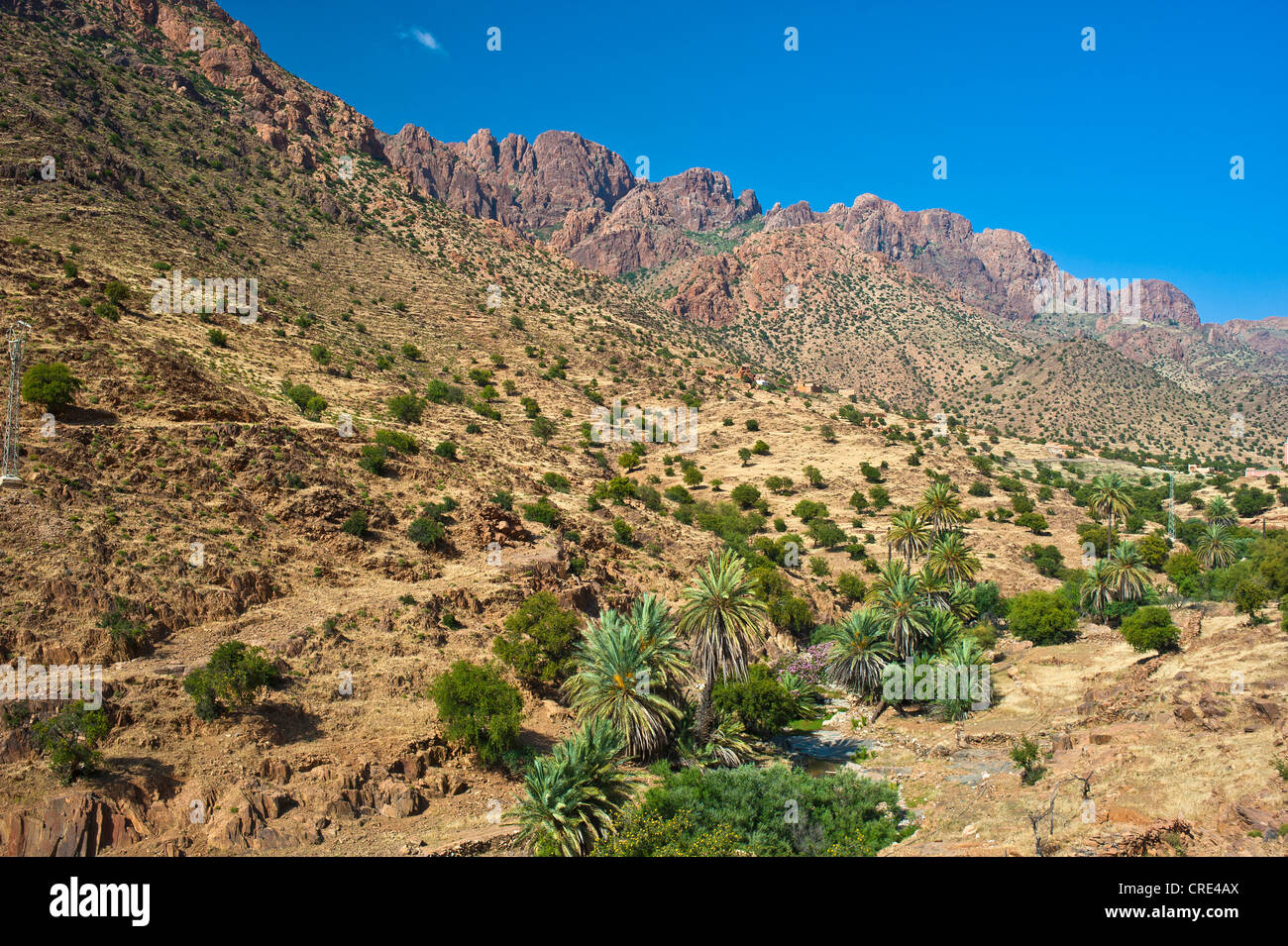 Tipico paesaggio di montagna con un letto asciutto del fiume dove gli alberi di Argan (Argania spinosa e palme da dattero (Phoenix dactylifera) crescere Foto Stock