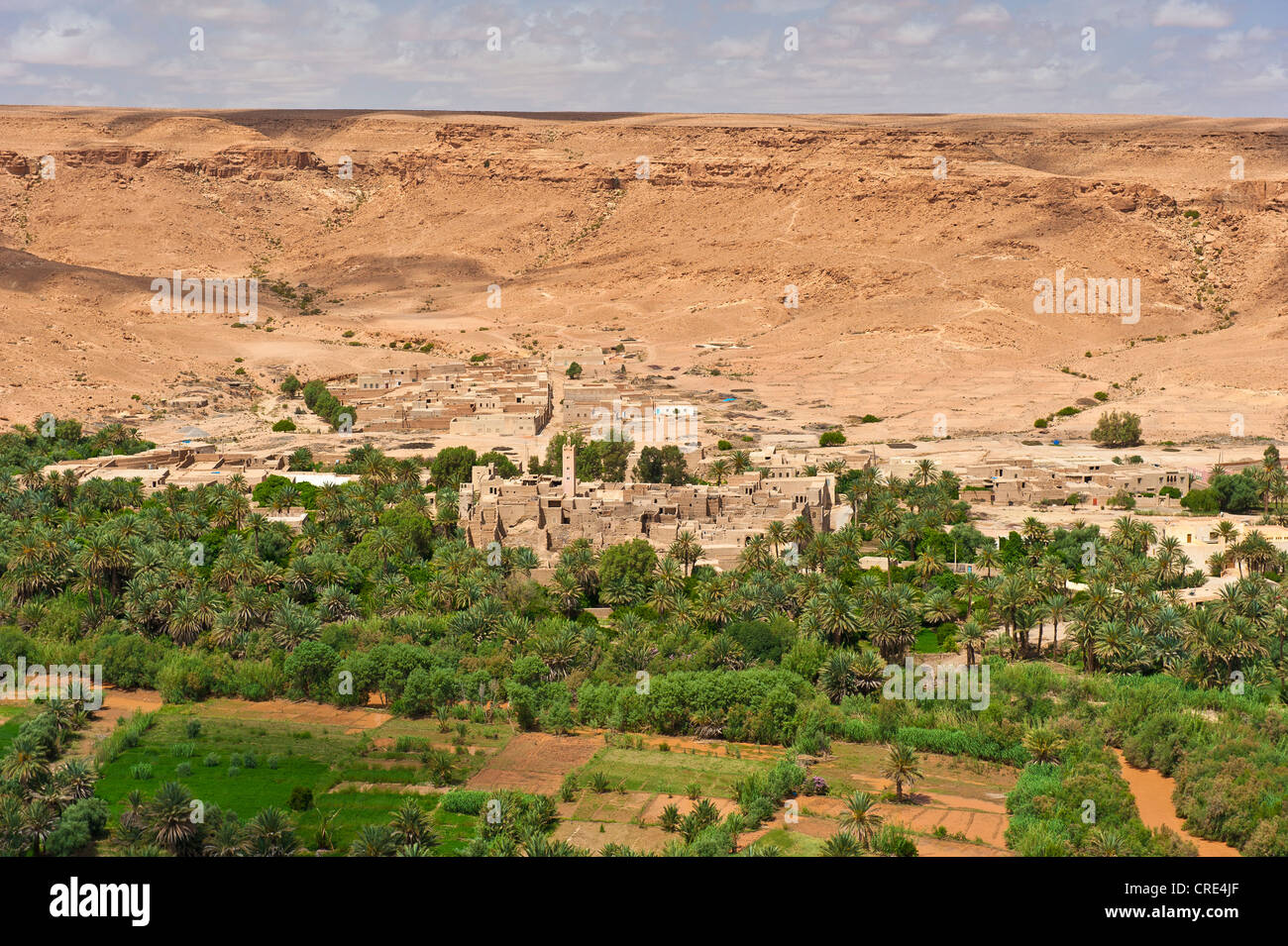 Oasi Fluviale, villaggio, palme da dattero e piccoli campi, Ziz Valley, nel sud del Marocco, Africa Foto Stock
