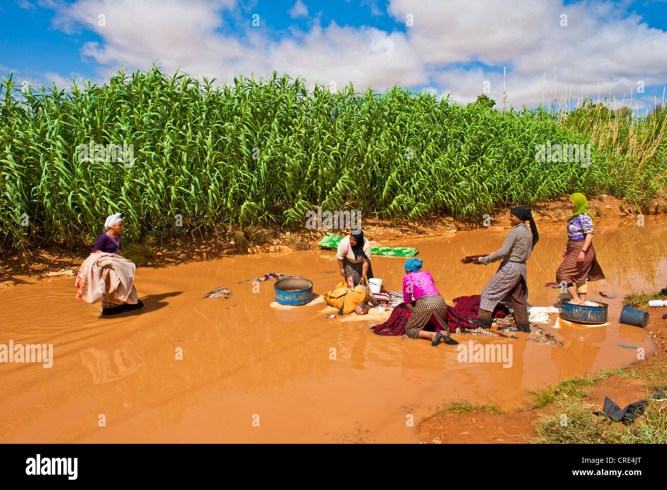 Donne che svolgono servizio lavanderia nel fiume, nel sud del Marocco, Africa Foto Stock