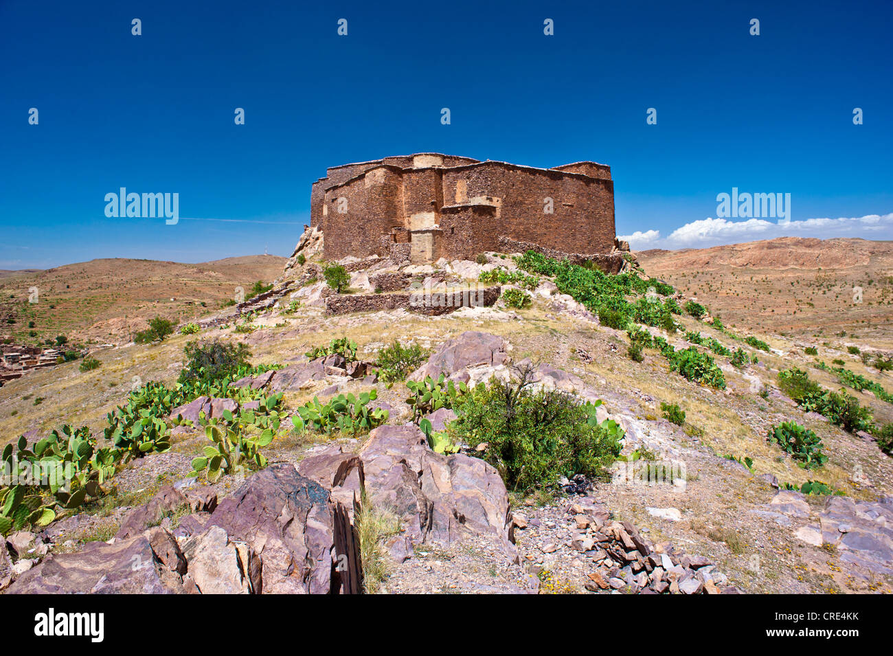 Granaio fortificato, Agadir Tasguent, in cima a una montagna, Anti-Atlas montagne, sud del Marocco, Marocco, Africa Foto Stock