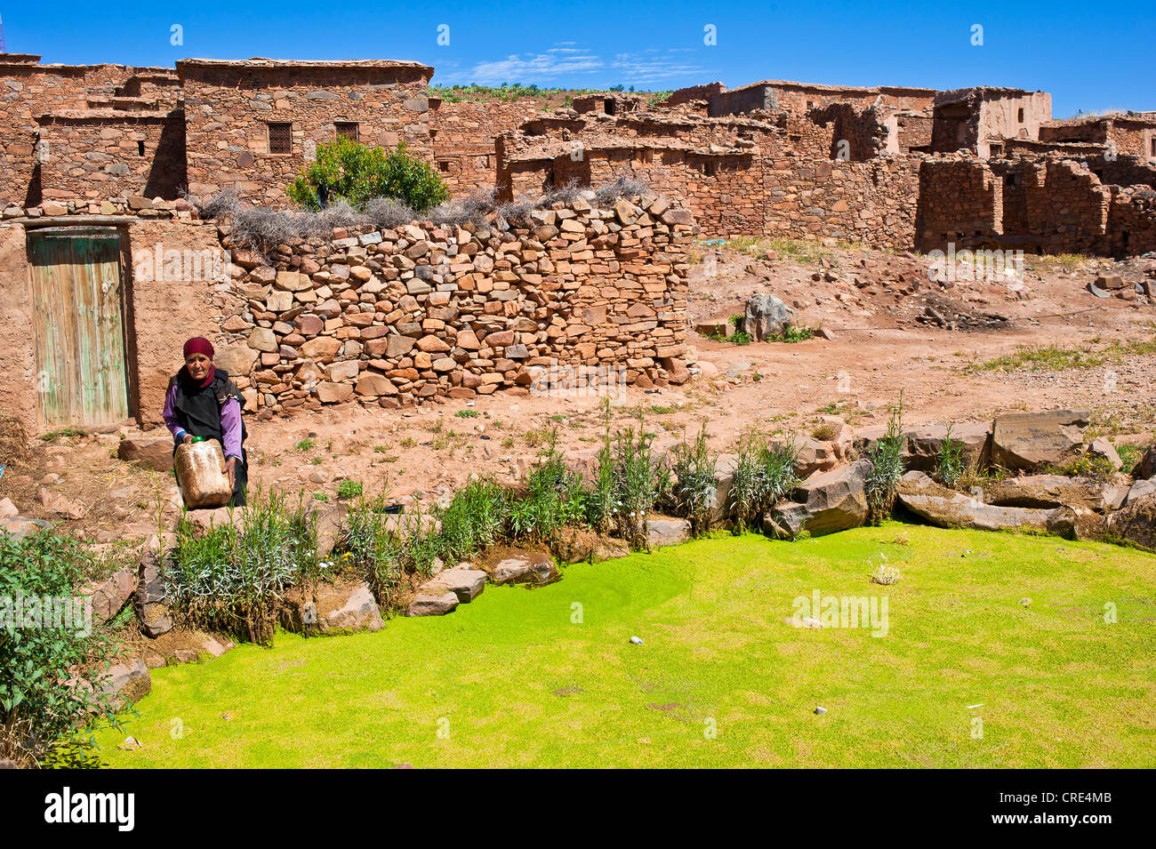 Donna anziana che trasportano un barattolo di acqua da una pioggia cisterna di acqua in un villaggio, Ait Ourhaine, Anti-Atlas Montagne Foto Stock