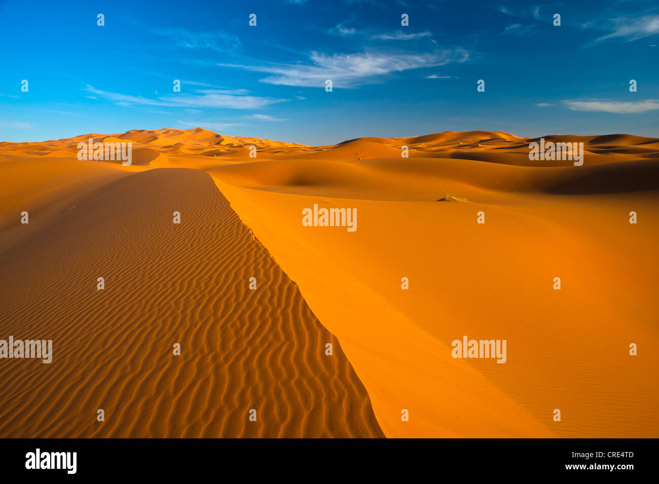 Le dune di sabbia, Erg Chebbi, Sud Marocco, Marocco, Africa Foto Stock