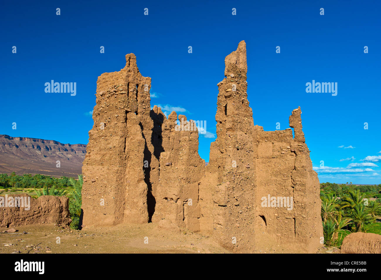 Resti di un decadimento kasbah, fortezza di fango, fango mattone nella  costruzione delle tribù berbere, Tighremt, Draa-Valley, sud del Marocco  Foto stock - Alamy