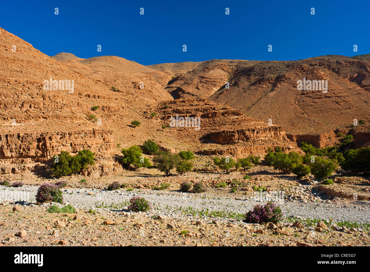 Paesaggio di montagna nella valle di Ait Mansour con disseminati di alberi e arbusti in un letto asciutto del fiume, Anti-Atlas mountain range Foto Stock
