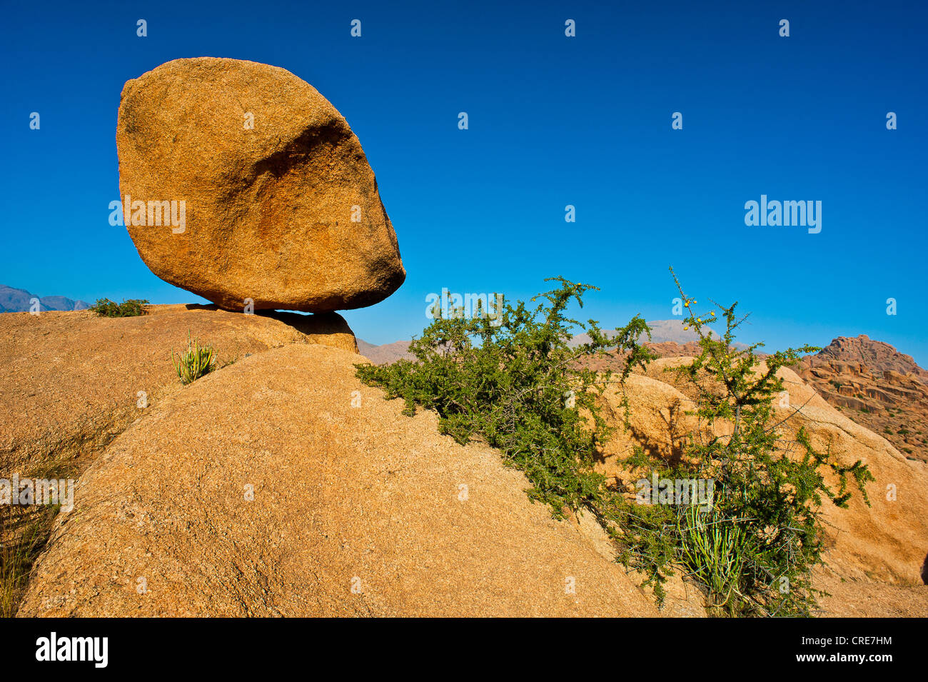 Enorme masso di granito e un piccolo albero di Argan (Argania spinosa) su una battuta nell'Anti-Atlas montagne, sud del Marocco, Marocco Foto Stock