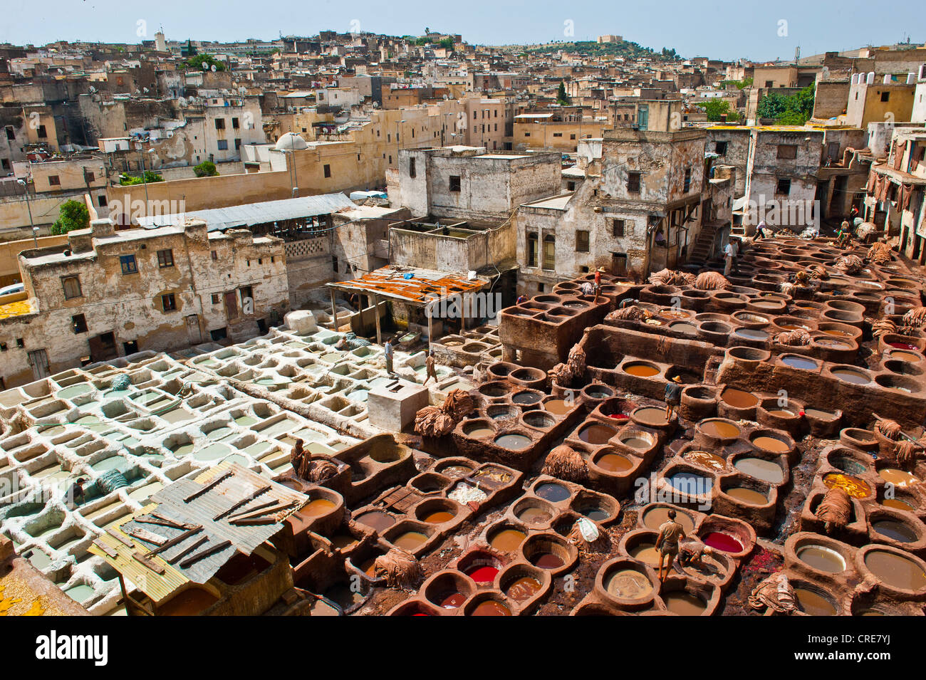 La conceria tradizionale con la concia e tintura di box, centro storico della città o la Medina, sito Patrimonio Mondiale dell'UNESCO, Fez, in Marocco Foto Stock