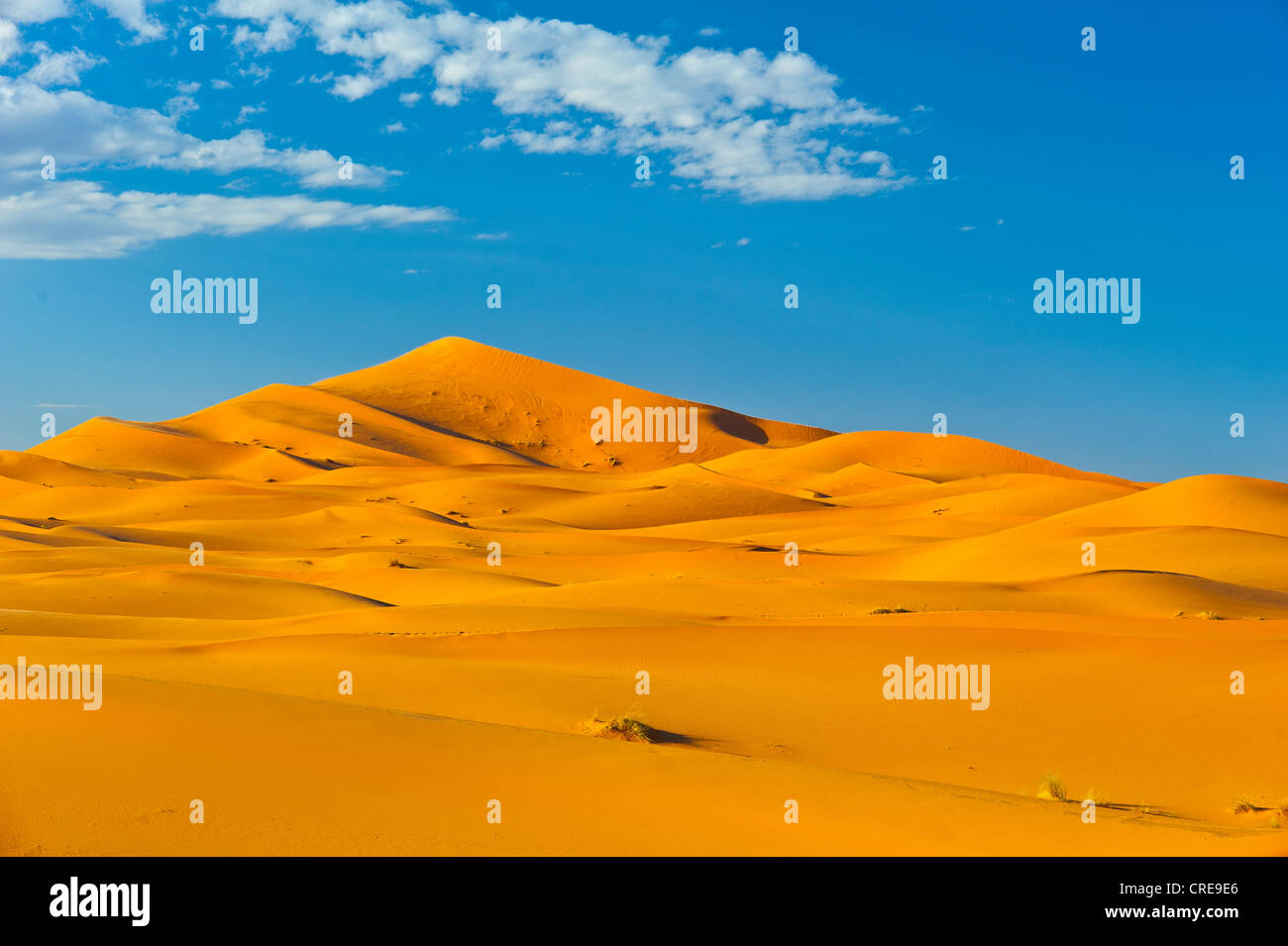 Le dune di sabbia di Erg Chebbi, Sahara, sud del Marocco, Marocco, Africa Foto Stock