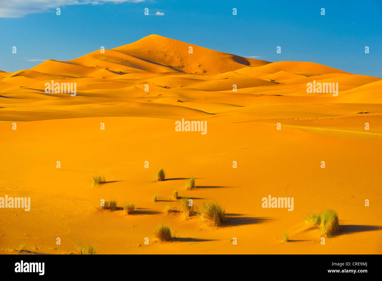 Erg Chebbi dune di sabbia, Sahara, sud del Marocco, Africa Foto Stock