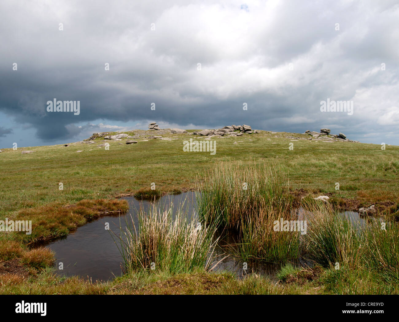 Area palustre di Roughtor, Bodmin Moor, Cornwall, Regno Unito Foto Stock