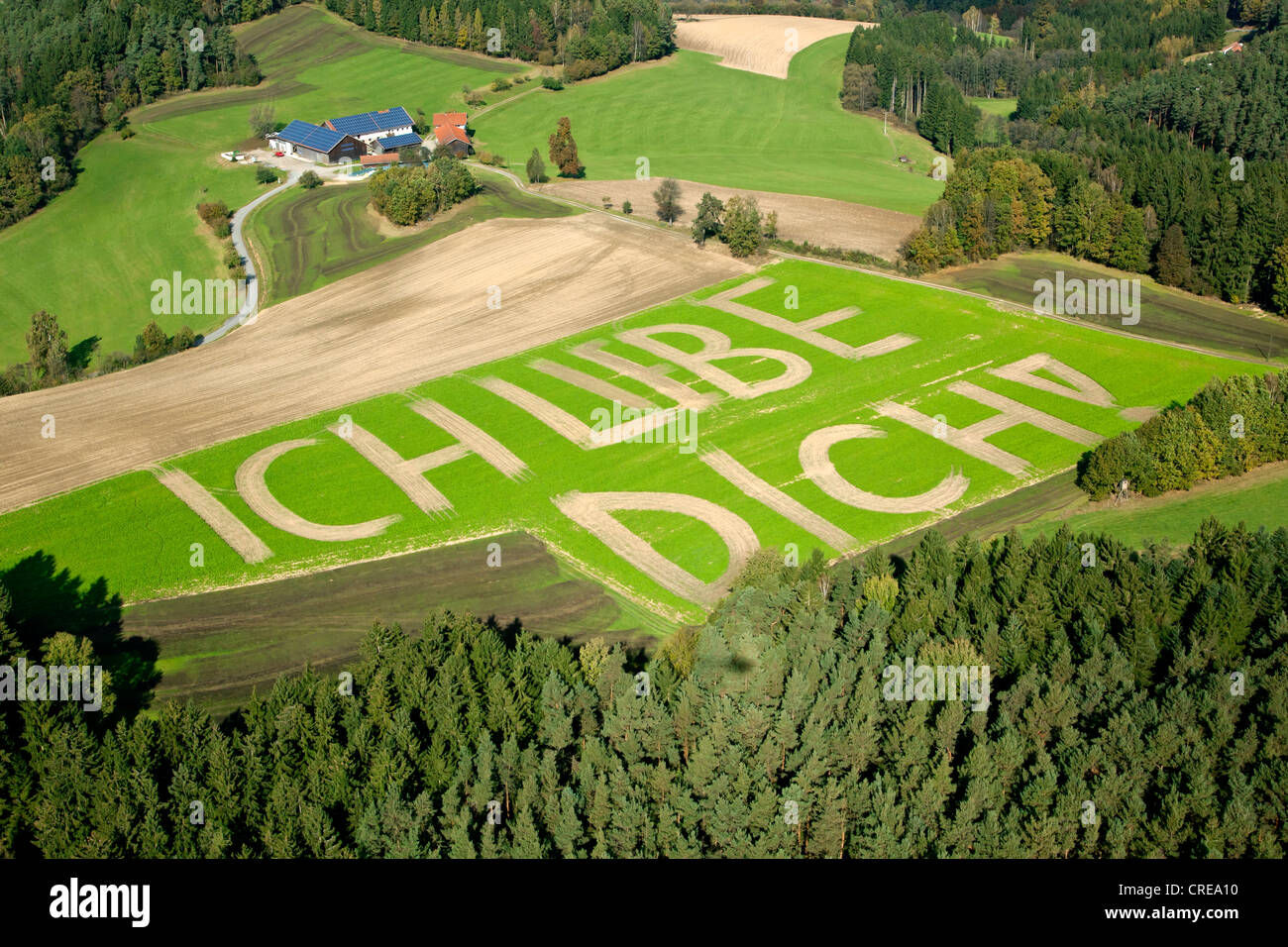 Vista aerea del lettering "Ich liebe dich", tedesco per "ti amo" in un campo nei pressi di Altrandsberg, Foresta Bavarese, in Baviera Foto Stock