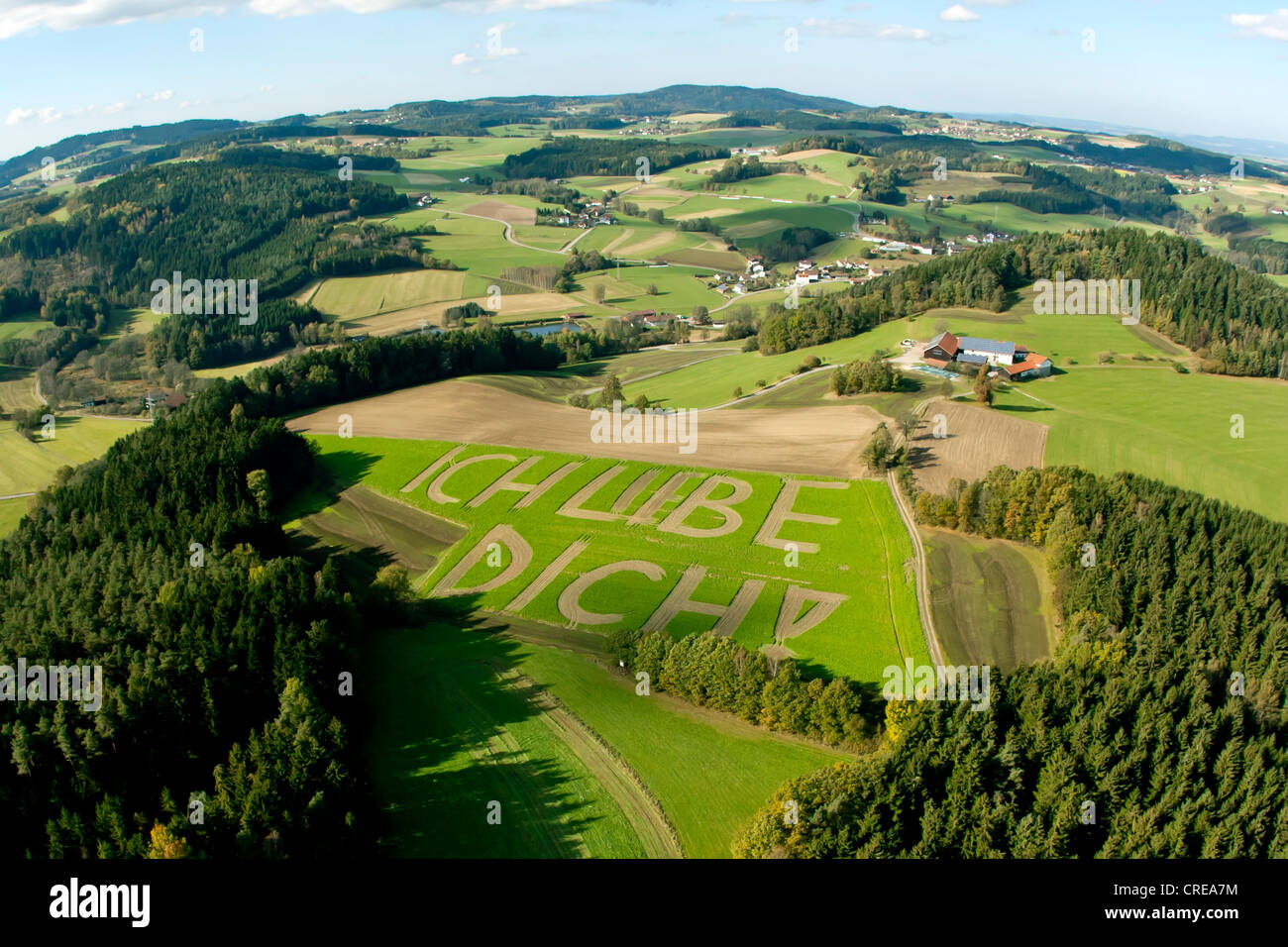 Vista aerea del lettering "Ich liebe dich", tedesco per "ti amo" in un campo nei pressi di Altrandsberg, Foresta Bavarese, in Baviera Foto Stock