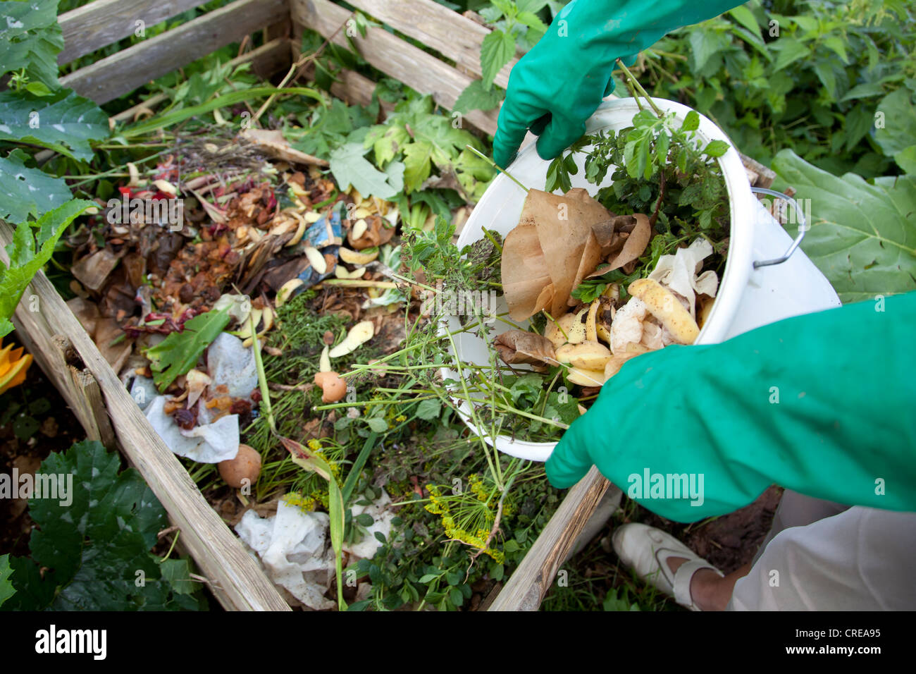 I rifiuti organici, compost, compostaggio, Germania, Europa Foto Stock