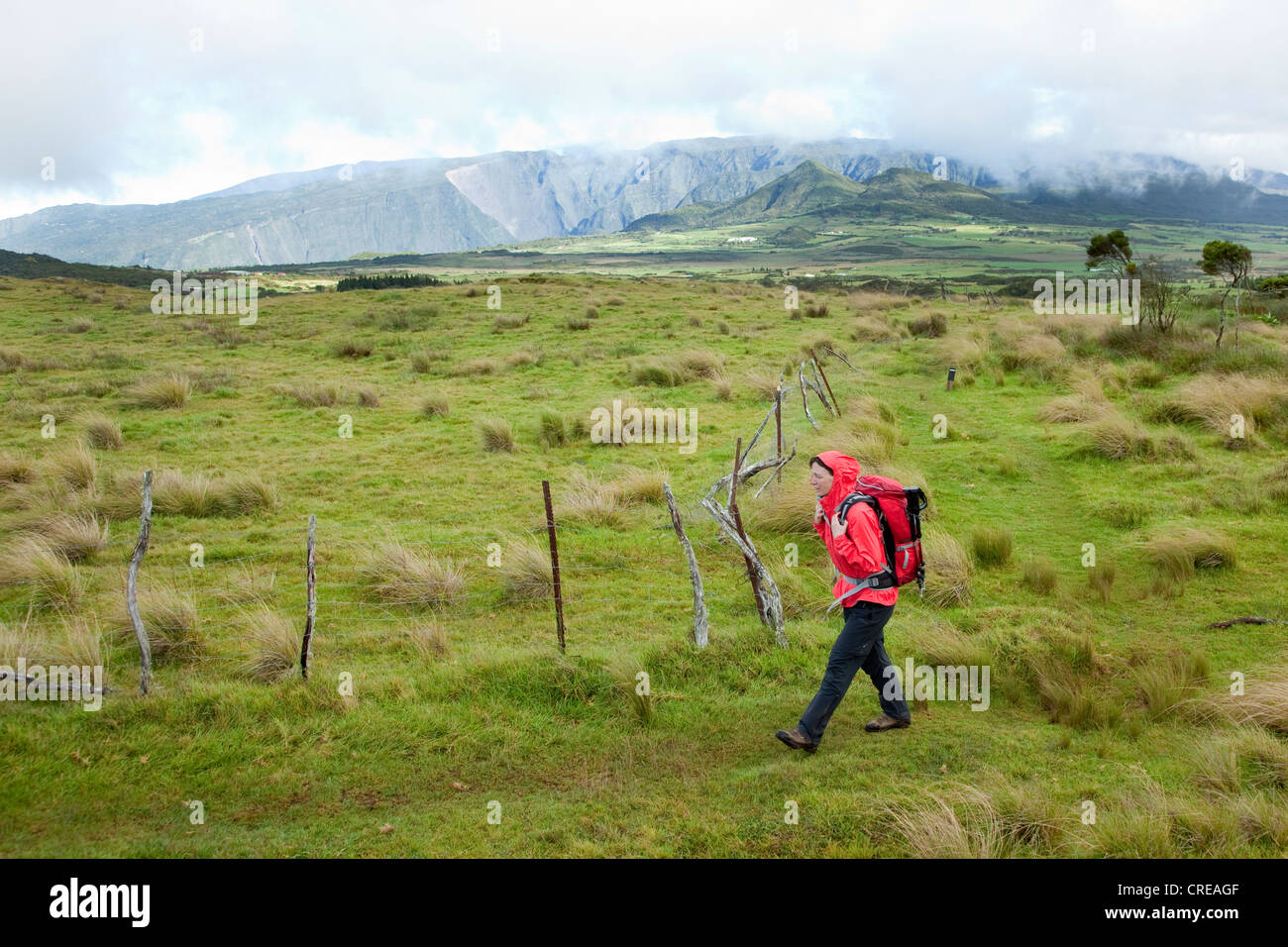 Escursionista sul plateau Plaine des Cafres a Bourg-Murat, La Reunion Island, Oceano Indiano Foto Stock