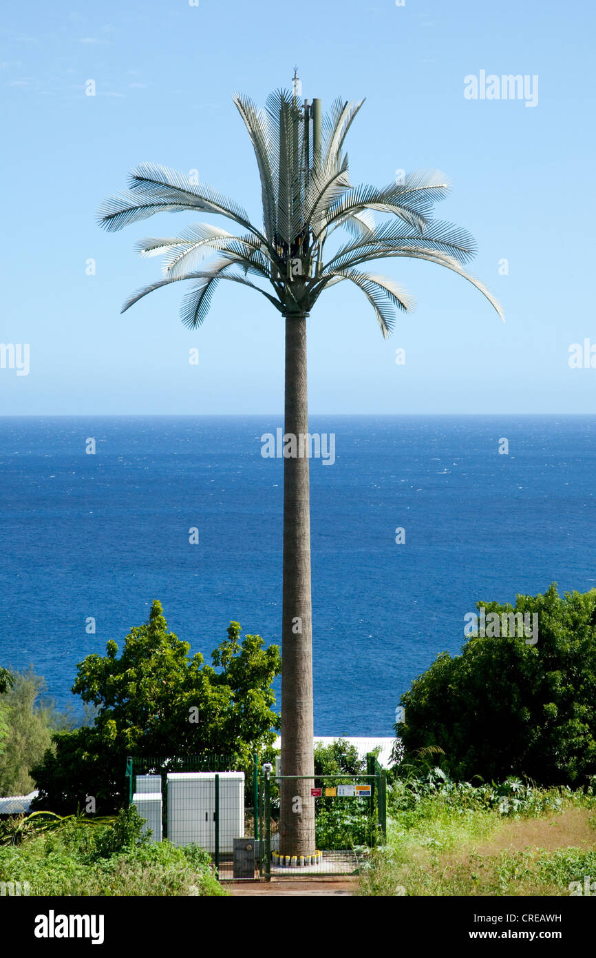 Mobile phone mast dissimulata come un albero di palma a Saint-Pierre, La Reunion Island, Oceano Indiano Foto Stock