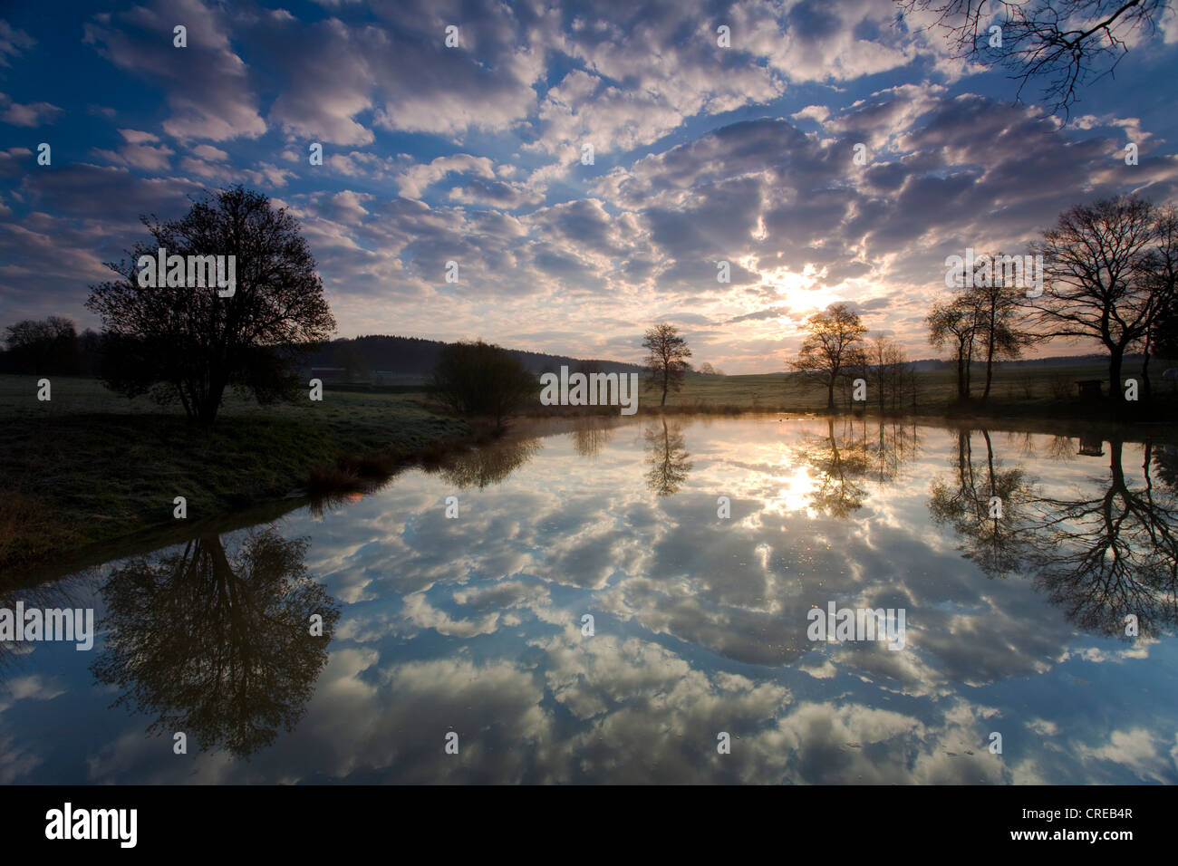 Nuvole di mirroring in mattina a un piccolo stagno vicino Jocketa, in Germania, in Sassonia, Jocketa Foto Stock
