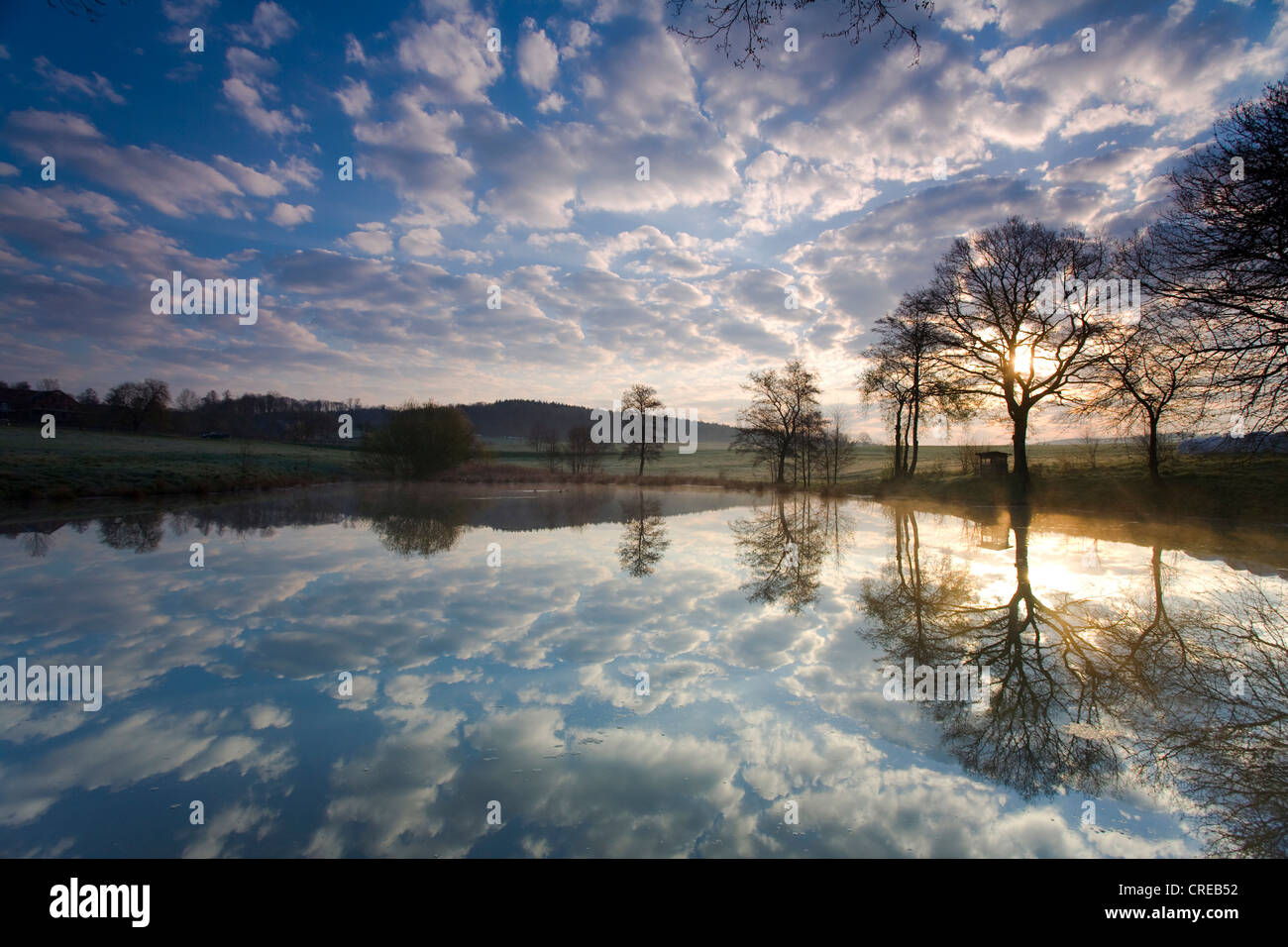 Nuvole di mirroring in mattina a un piccolo stagno vicino Jocketa, in Germania, in Sassonia, Jocketa Foto Stock