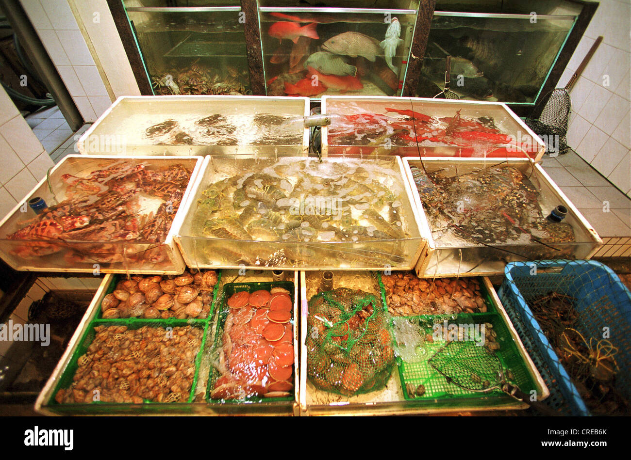 Ampia selezione di piatti a base di frutti di mare di Hong Kong Foto Stock