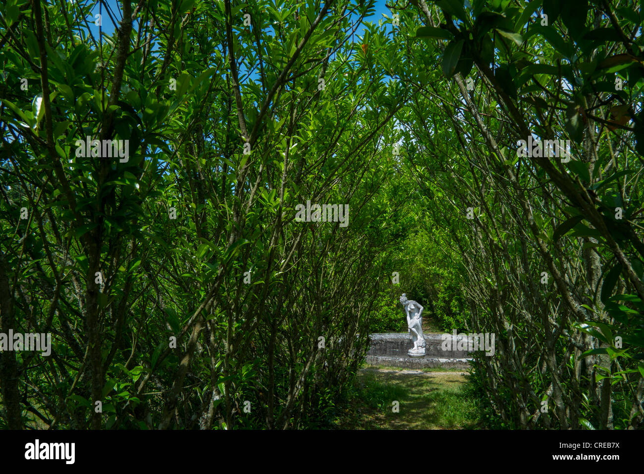 Statua di una dea di balneazione ( Venere? ) Nella motivazione di un chateau francese Foto Stock
