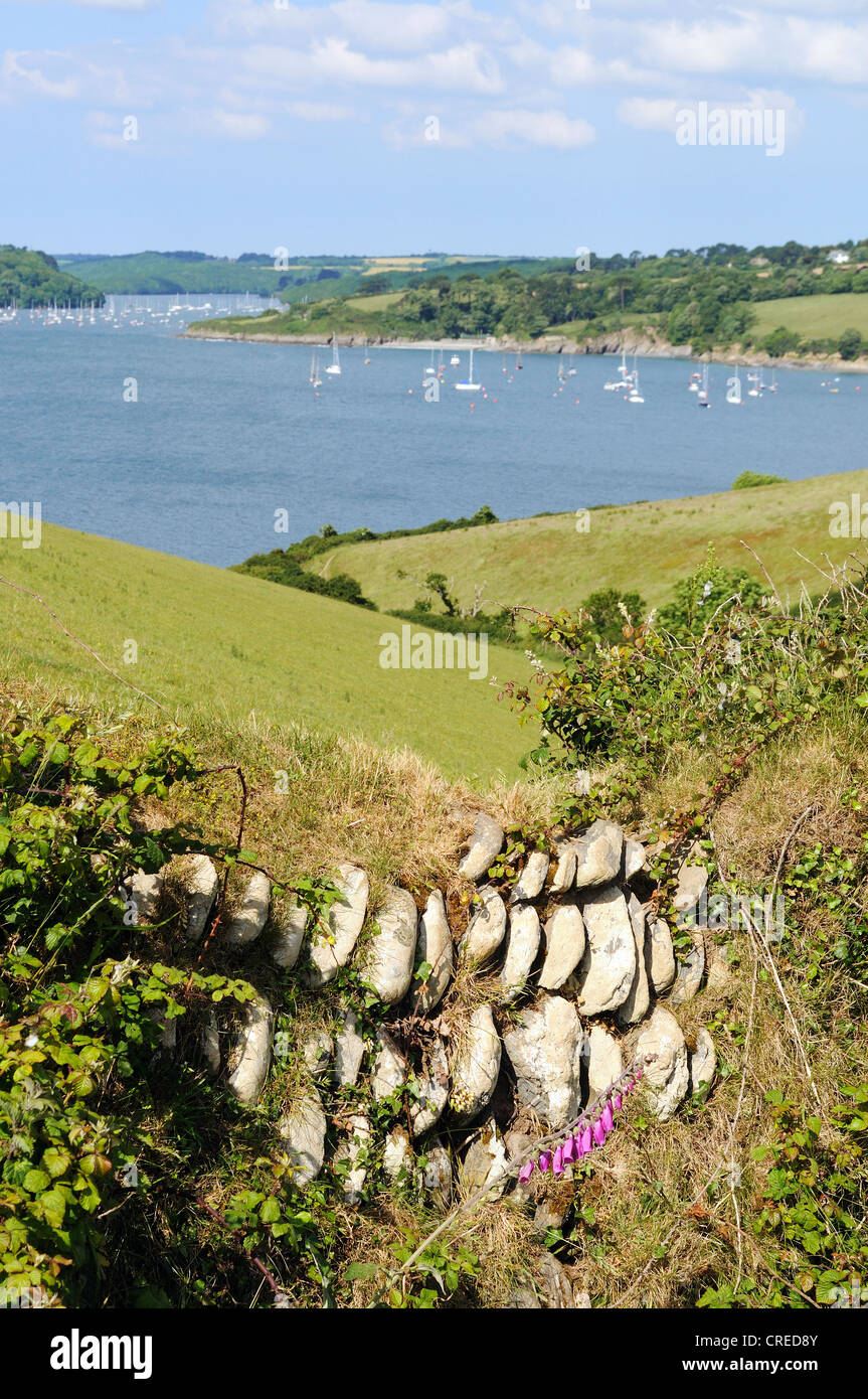 Guardando verso il fiume Helford vicino Mawnan-Smith in Cornwall, Regno Unito Foto Stock