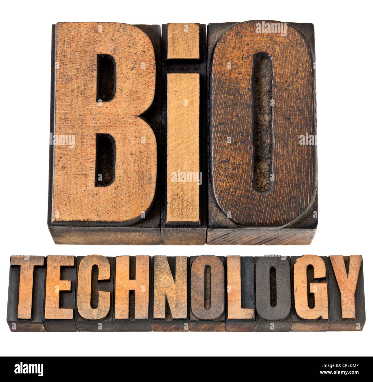 Biotecnologia - biotech concetto - testo isolato in rilievografia vintage tipo legno Foto Stock