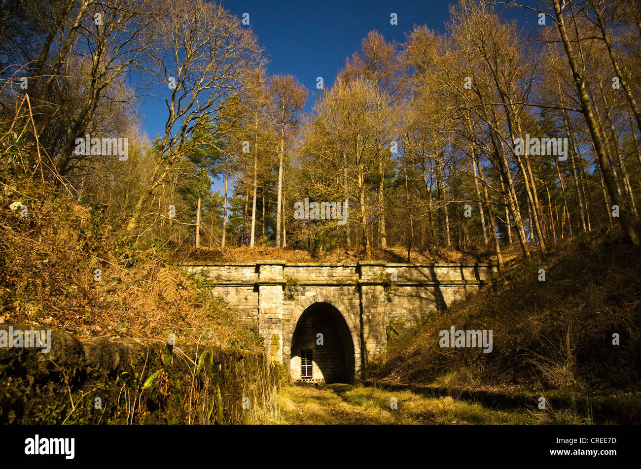 Vista del tunnel mireystock Foto Stock