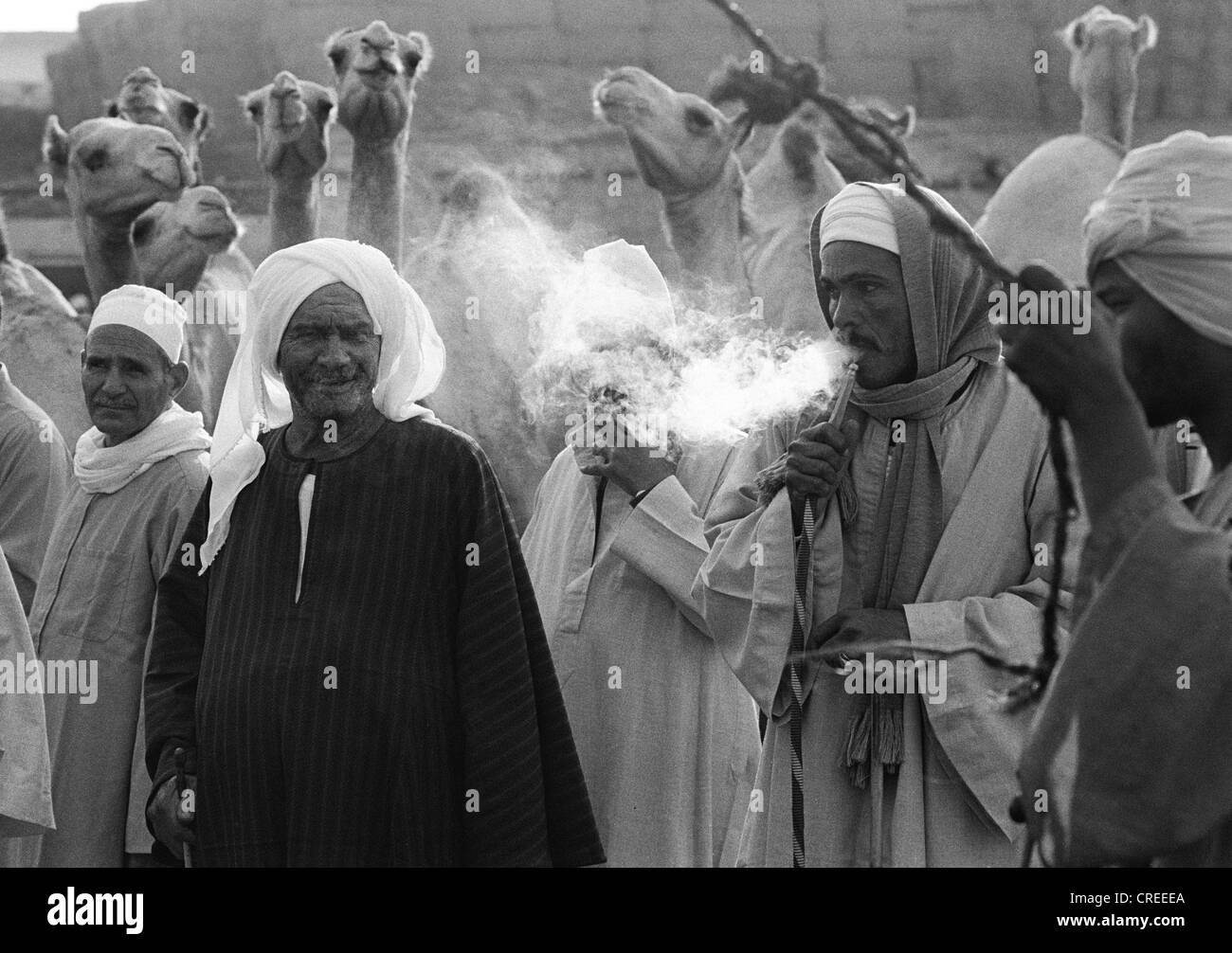 Venditori di cammelli godetevi un fumo Foto Stock