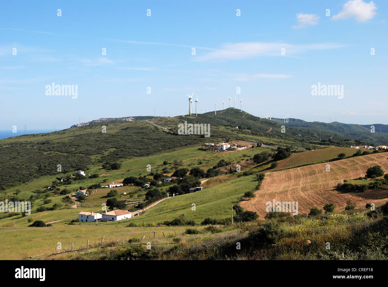 Le aziende agricole e terreni agricoli con turbine eoliche per la parte posteriore, vicino a Casares, provincia di Malaga, Andalusia, Spagna, Europa occidentale. Foto Stock