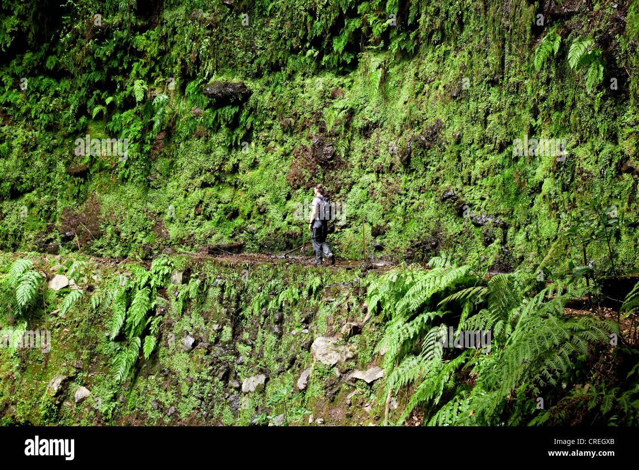 Woman Hiking vicino la Levada de Janela canale irrigatorio, vicino a Ribeira da Janela, Madeira, Portogallo, Europa Foto Stock