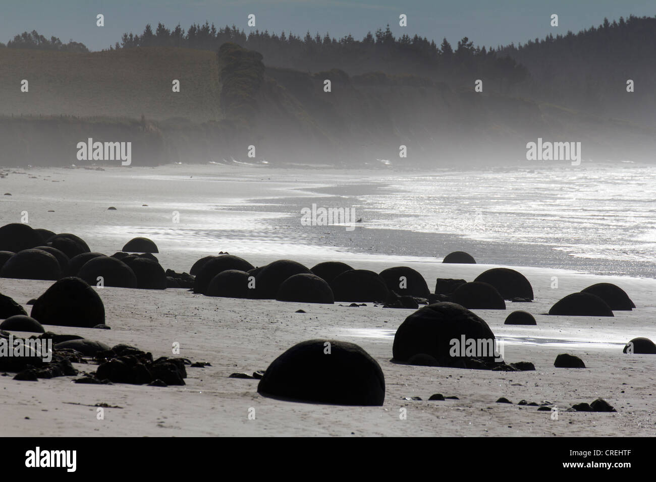 I massi Moeraki, Isola del Sud della Nuova Zelanda 7 Foto Stock