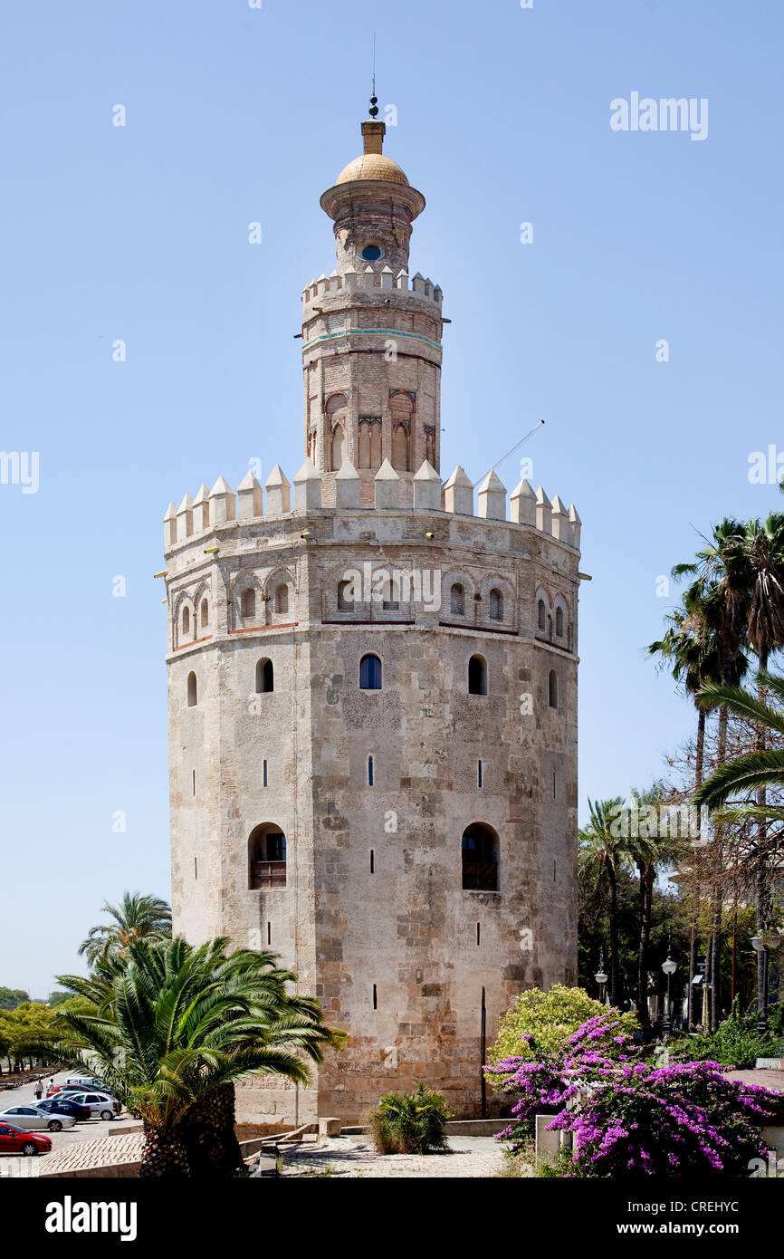 Torre del Oro, Oro Tower, una volta parte di una fortezza moresca, Siviglia, in Andalusia, Spagna, Europa Foto Stock