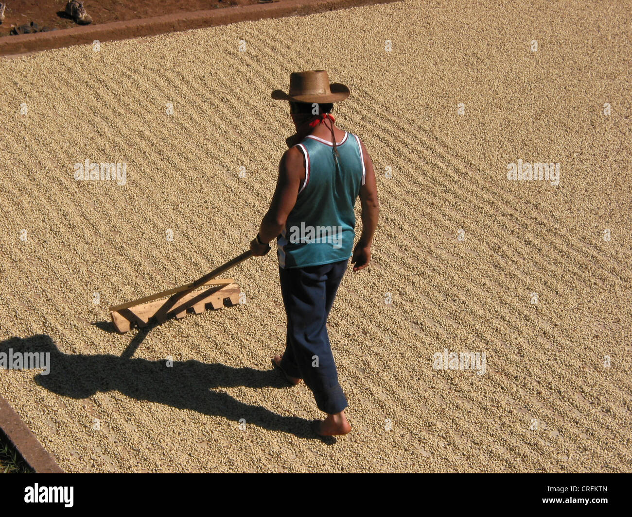 Cappello messicano dello yucatan immagini e fotografie stock ad alta  risoluzione - Alamy