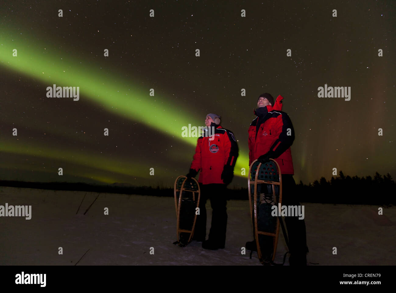 Coppia giovane, donna e uomo, escursioni con le racchette da neve, guardando di vorticazione polare settentrionale luci, Aurora boreale, verde, vicino a Whitehorse Foto Stock