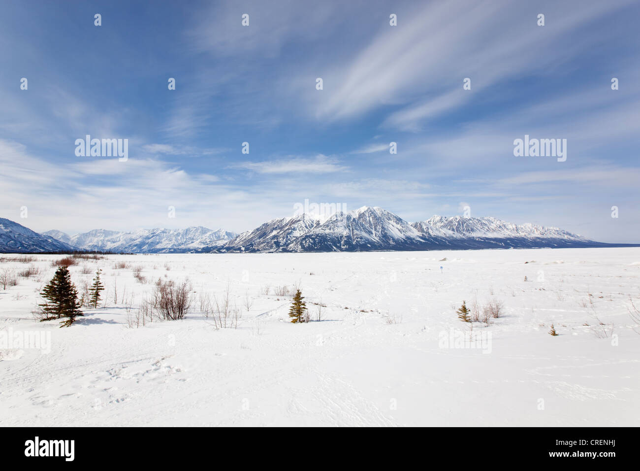 Congelati Lago Kluane, pecore di montagna, St. Elias, dietro e dalla storica città di argento, Parco Nazionale Kluane e riserva Foto Stock