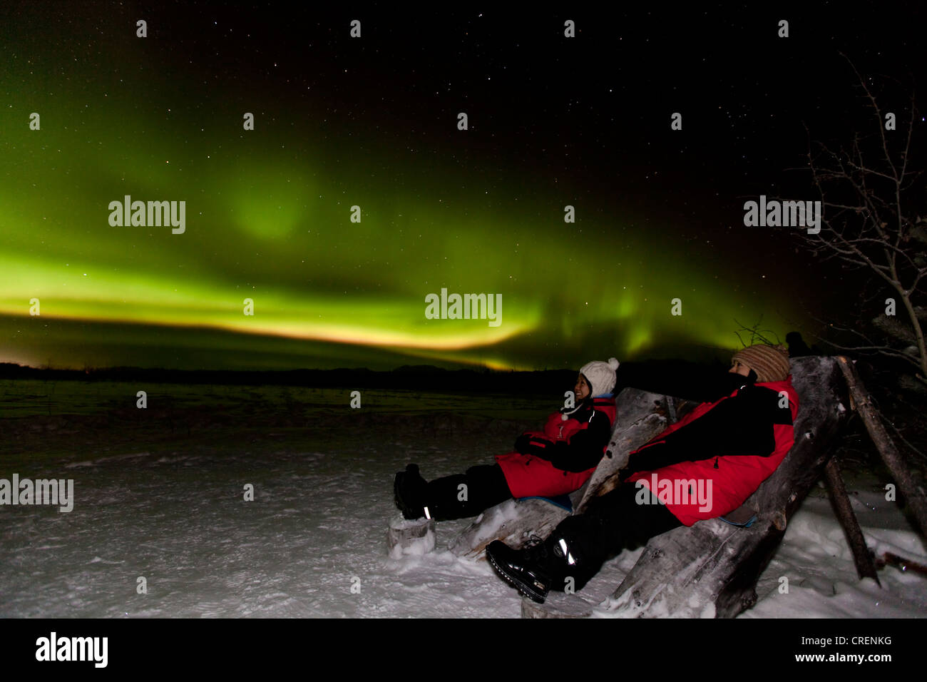 Due persone sedute in sedie di legno, guardando il verde polare settentrionale (luci di aurora boreale), vicino a Whitehorse, Yukon Territory Foto Stock