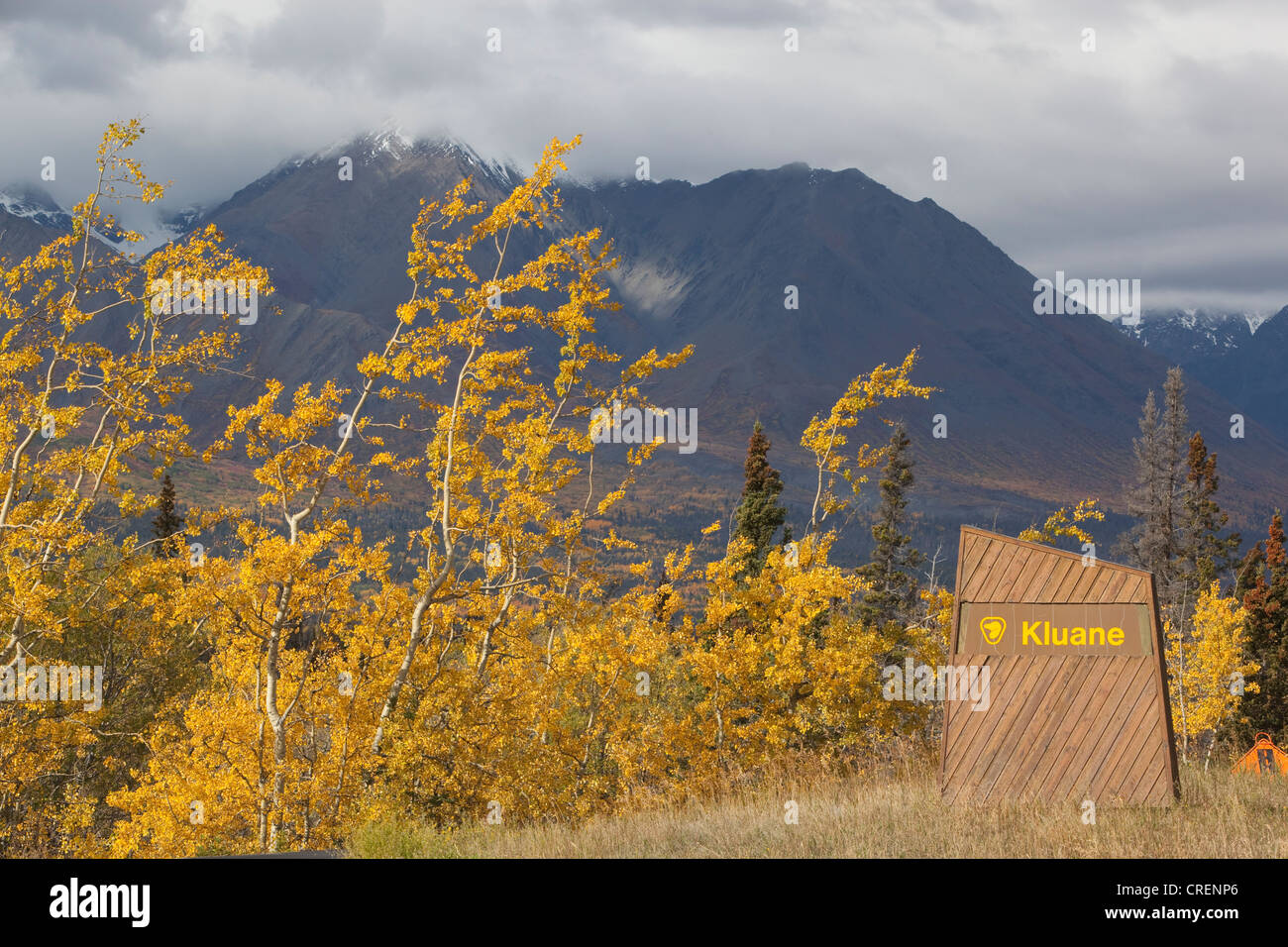 Parco Nazionale Kluane e segno di riserva, estate indiana, le foglie in autunno i colori nei pressi di Kathleen Lake, St Elias Montagne Foto Stock