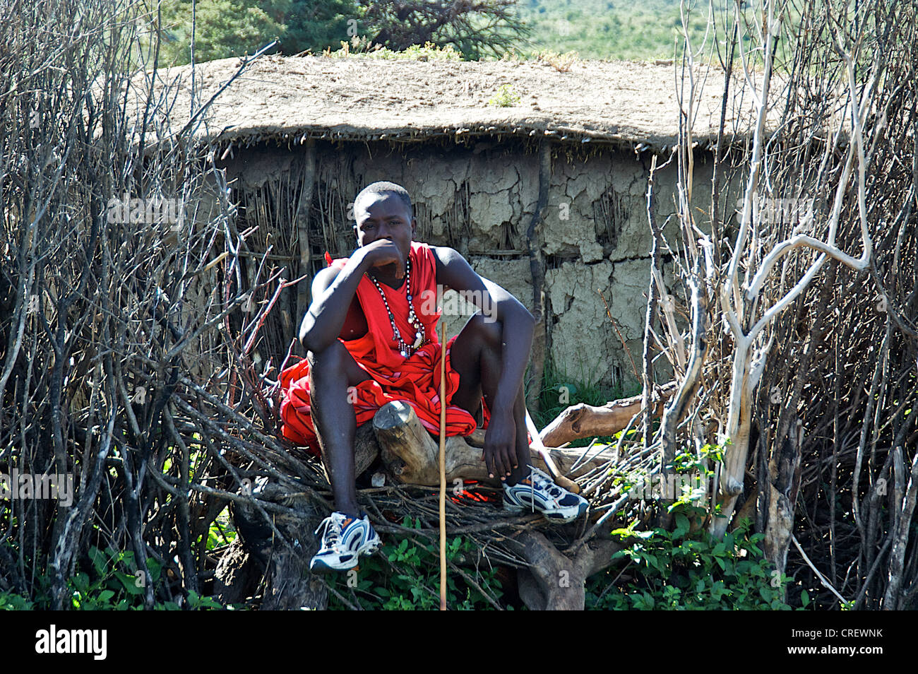 Ritratto di un giovane uomo keniano, Masai Mara. Foto Stock