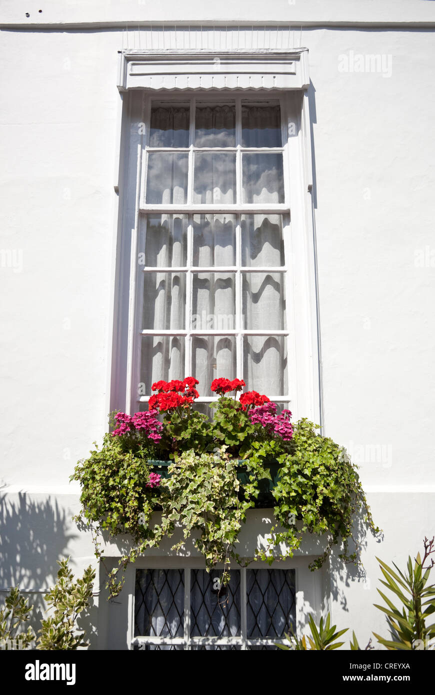 Piante di fiori in vaso su una residenza georgiana davanzale, Highgate, London, N6, England, Regno Unito Foto Stock