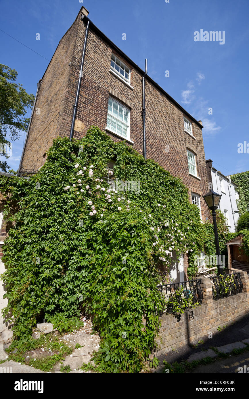 Pianta rampicante sulla parte anteriore di una casa georgiana, stagno quadrato, Highgate Village, London, N6, England, Regno Unito Foto Stock