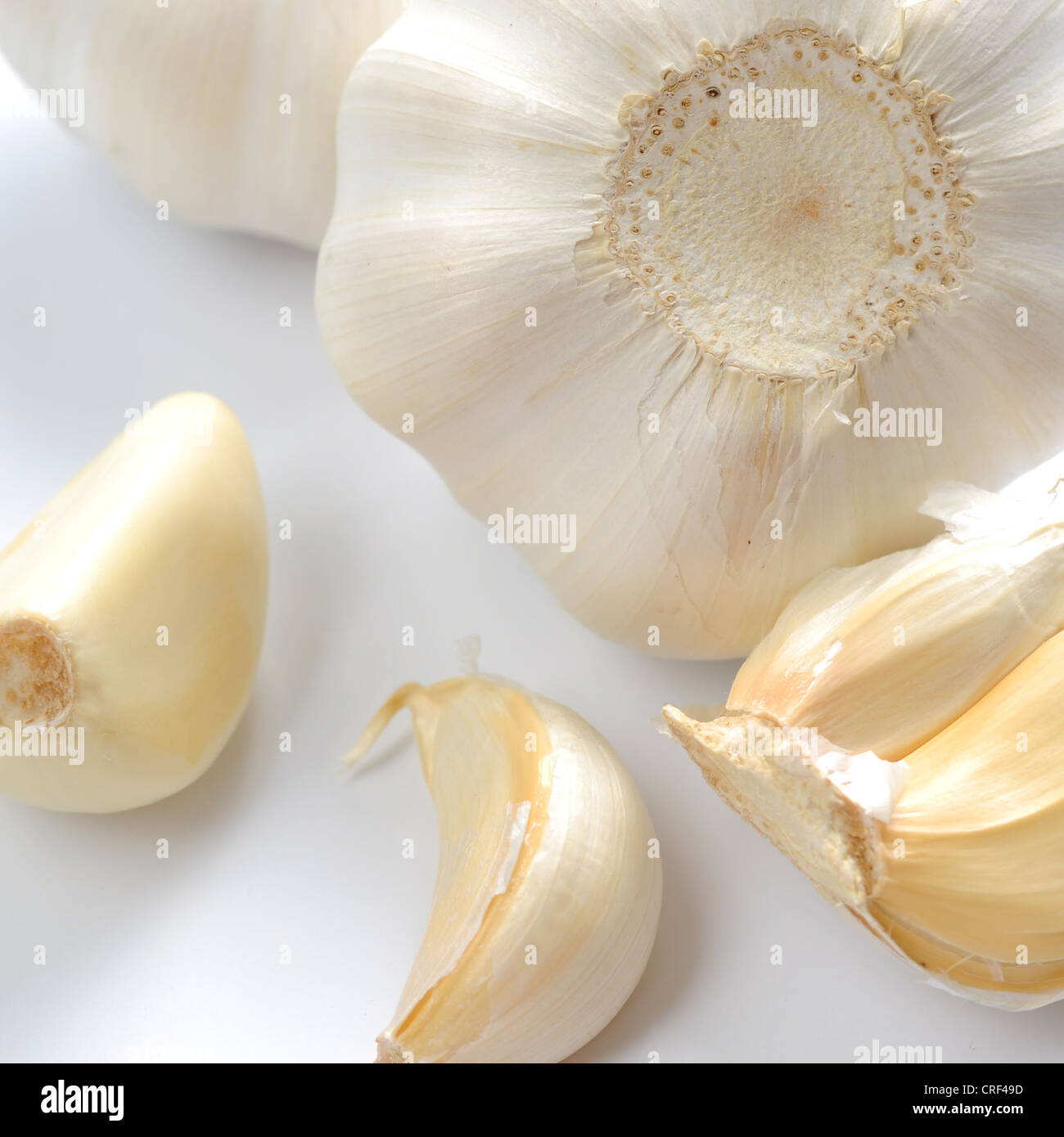 Aglio isolato su sfondo bianco Foto Stock