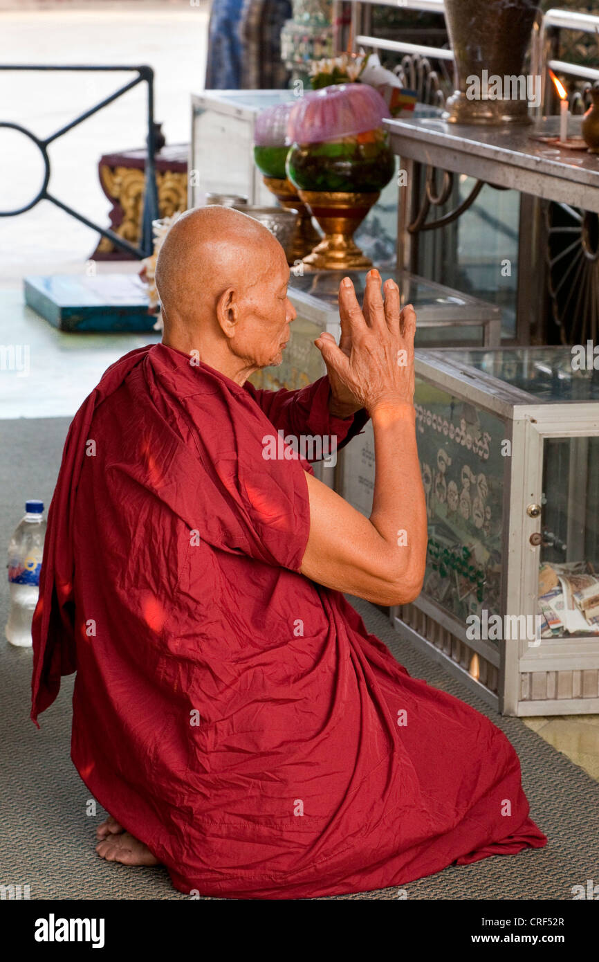 Myanmar Birmania, Yangon. Sule Pagoda. Monaco buddista di eseguire Early-Morning preghiere. Foto Stock