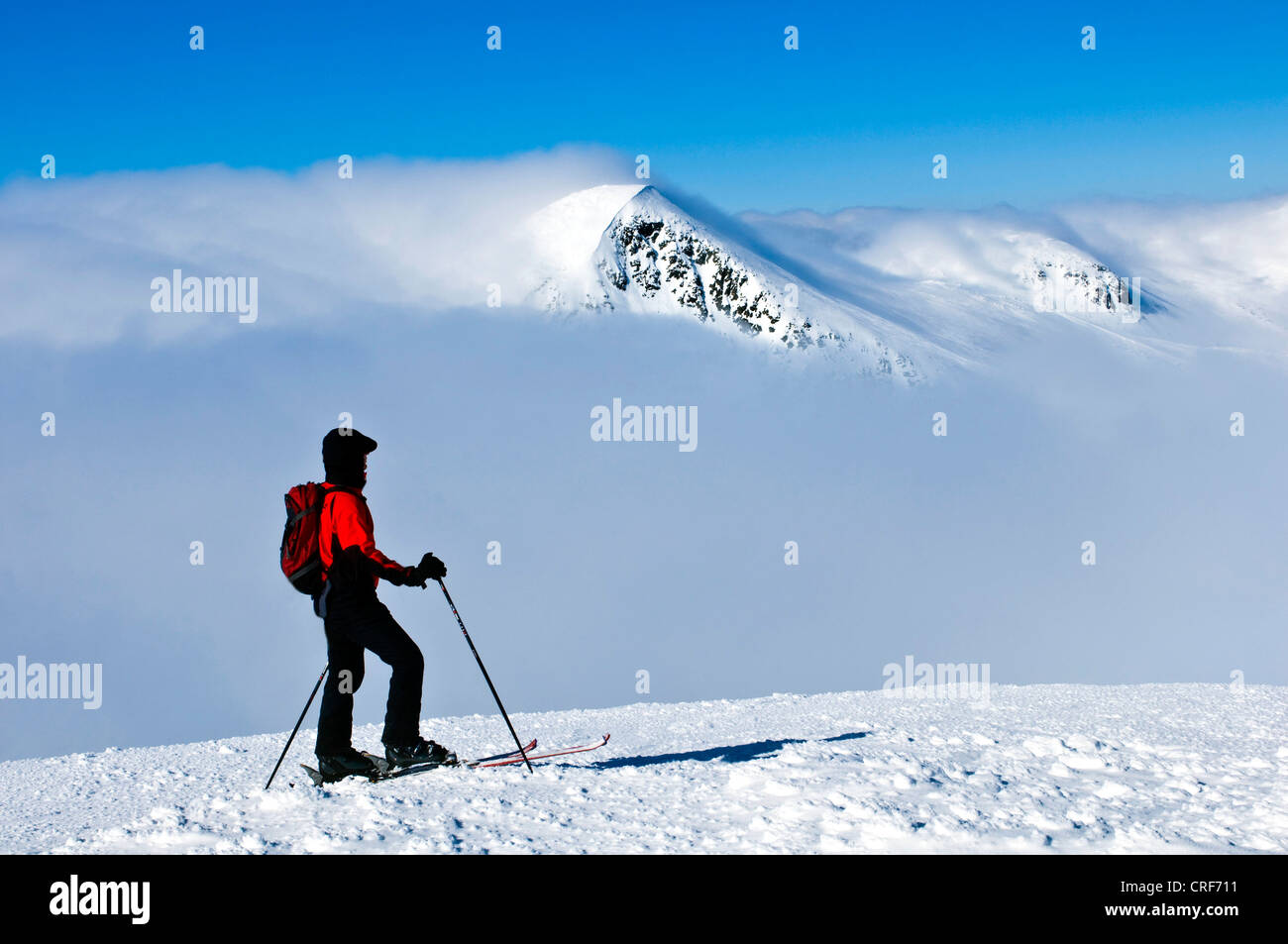 Sci escursionista, Svezia, Fjaell Jaemtland, Getryggen Foto Stock