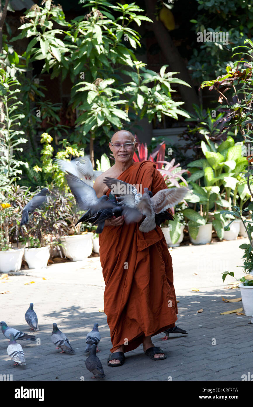 Un monaco buddista piccioni di alimentazione su un seme nel tempio Bupparam (Chiang Mai - Thailandia). Moine Bouddhiste nourrissant des piccioni Foto Stock