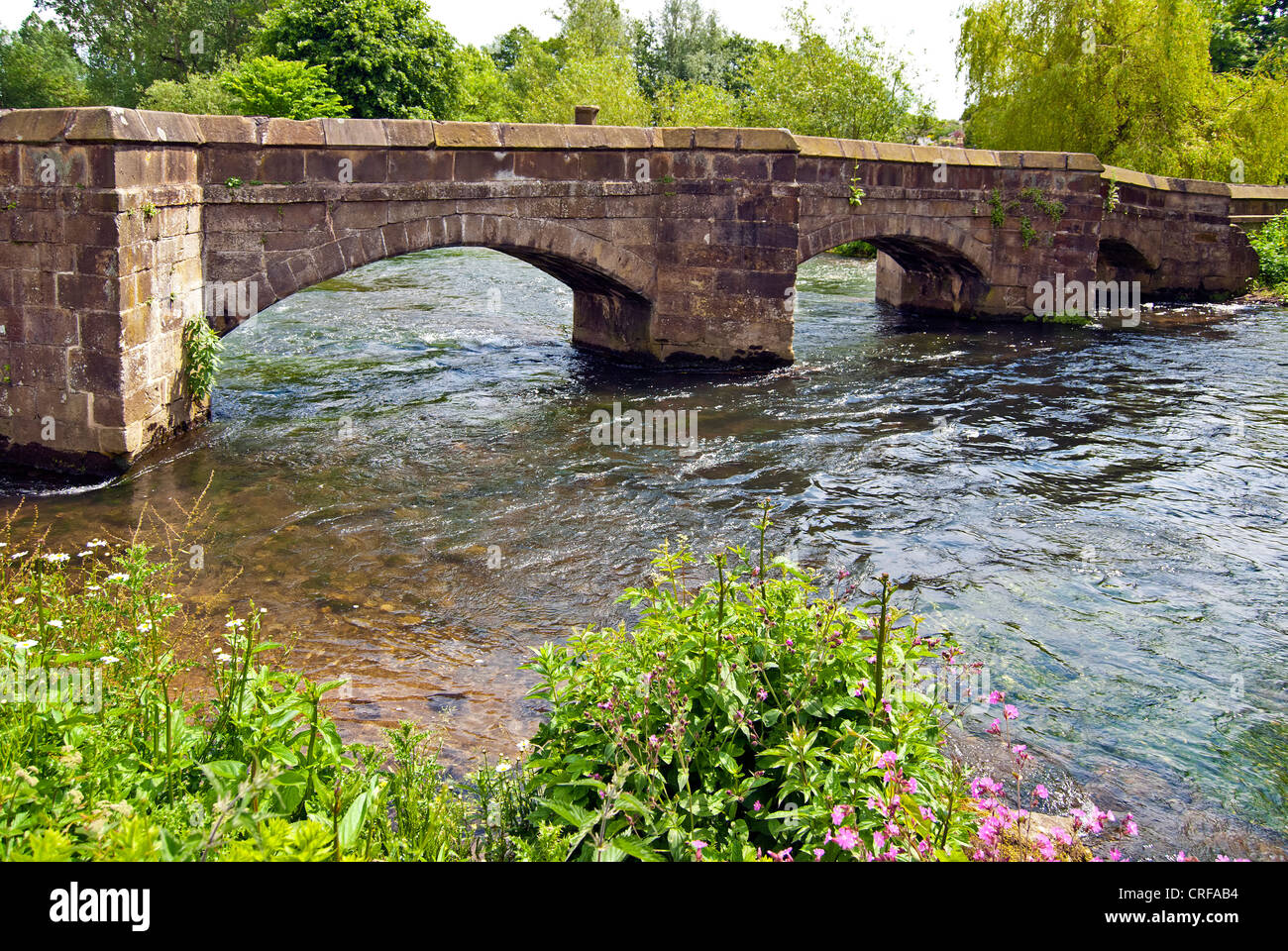 Holme Bridge, Bakewell, packhorse ponte sopra il fiume Wye Foto Stock