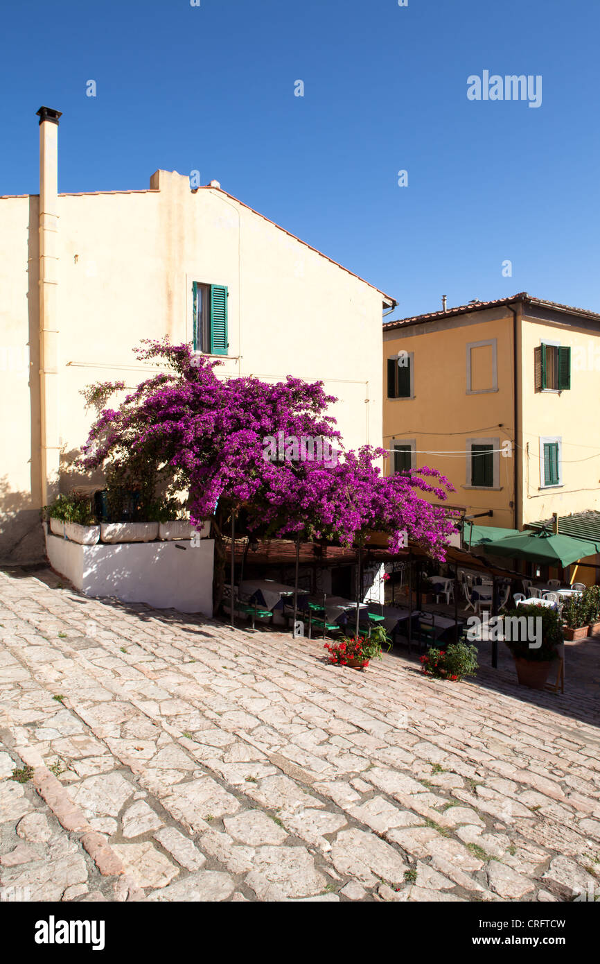 Piazza della Repubblica, Cosimo De' Medici si arrampicano, Portoferraio, Isola d'Elba, Toscana, Italia. Foto Stock
