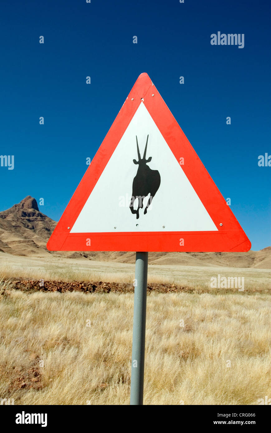 Segno di traffico, attenzione antilopes, Namibia Foto Stock