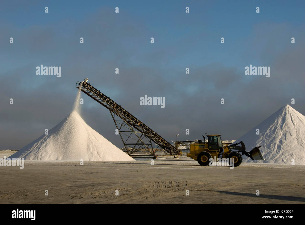 Colline di sale in una soluzione salina, con trasporto trasportatore a nastro e escavatore, Namibia, Walvis Bay Foto Stock