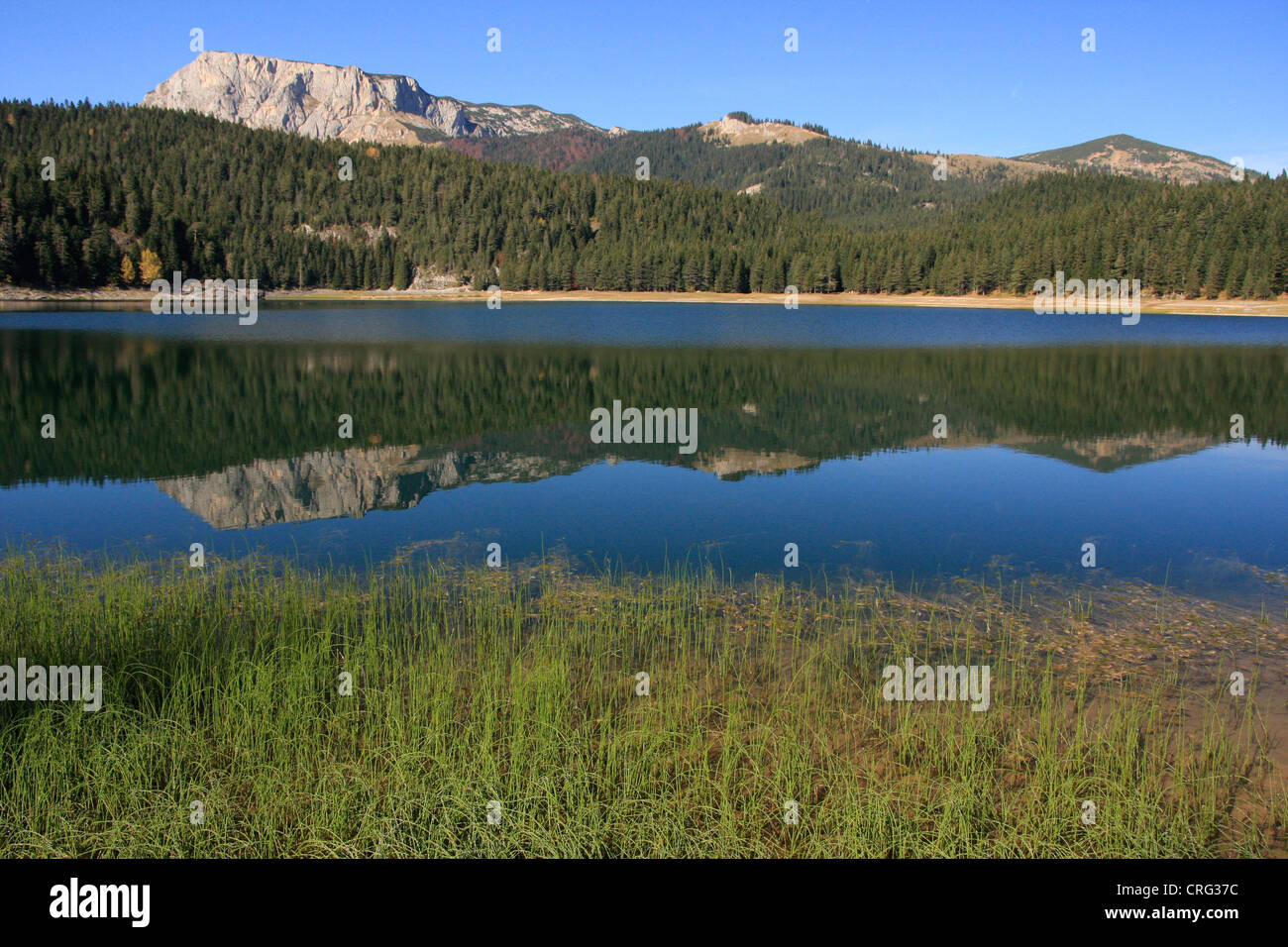 Lago Nero, Parco Nazionale del Durmitor, Montenegro Foto Stock