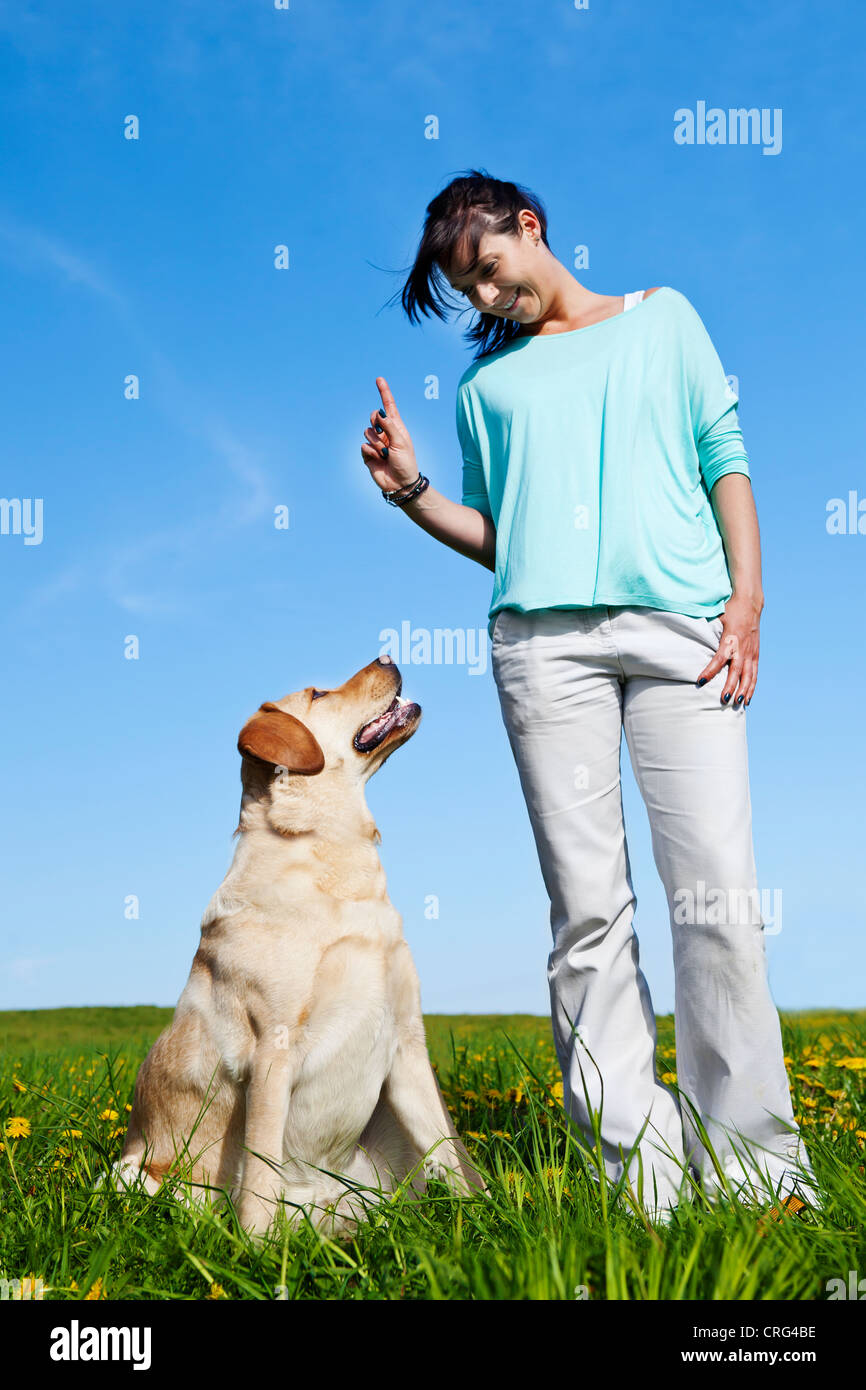 Dog trainer insegnando il suo cane Foto Stock