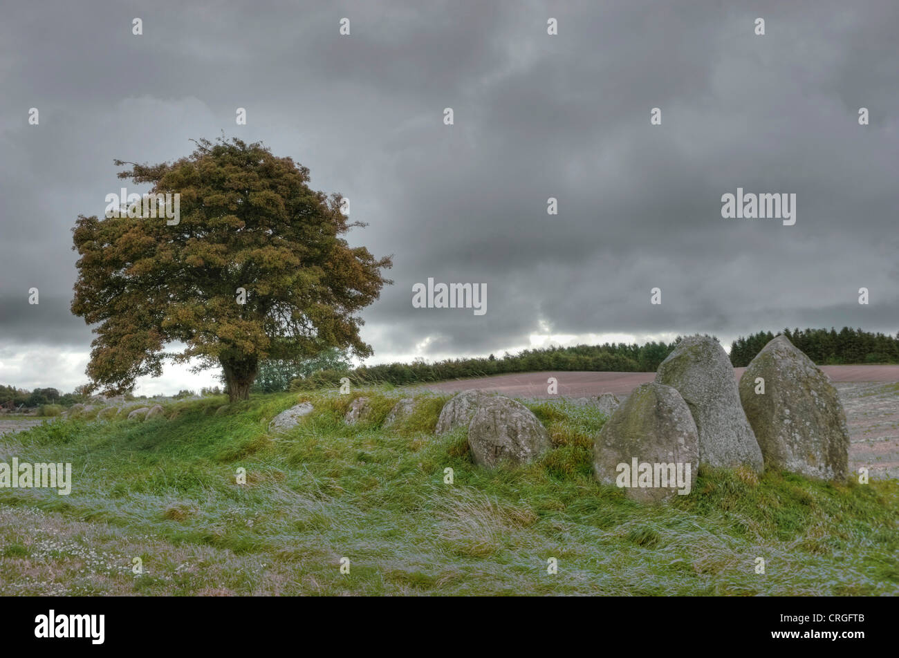 Rovere (Quercus spec.), Dolmen con rovere sull isola Moen, Danimarca, Moen Foto Stock